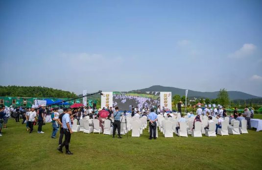 1568272923926770.png 3c288b1f94a349a6b0228e7640c1ec1.png